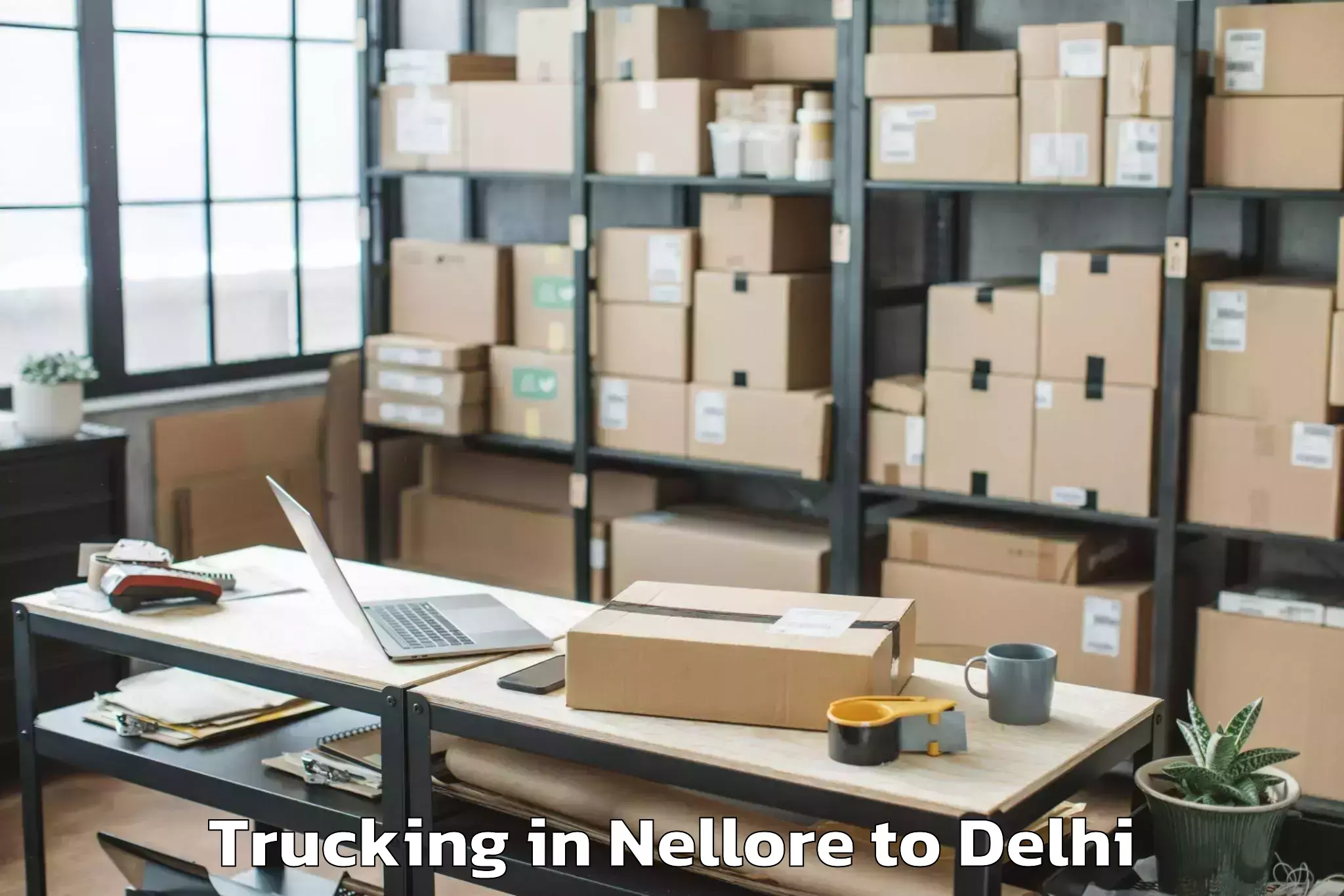 Nellore to D Mall Paschim Vihar Trucking Booking